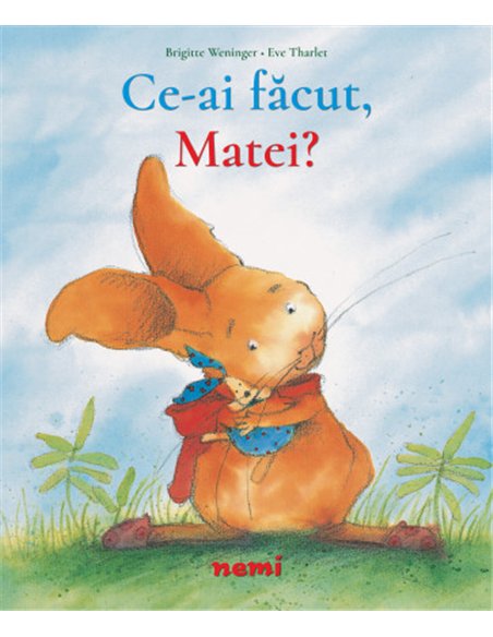 Ce ai făcut, Matei? - Brigitte Weninger | Editura Nemira