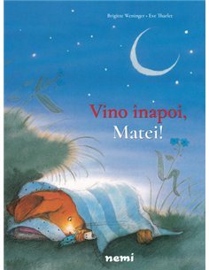 Vino înapoi, Matei! - Brigitte Weninger | Editura Nemira