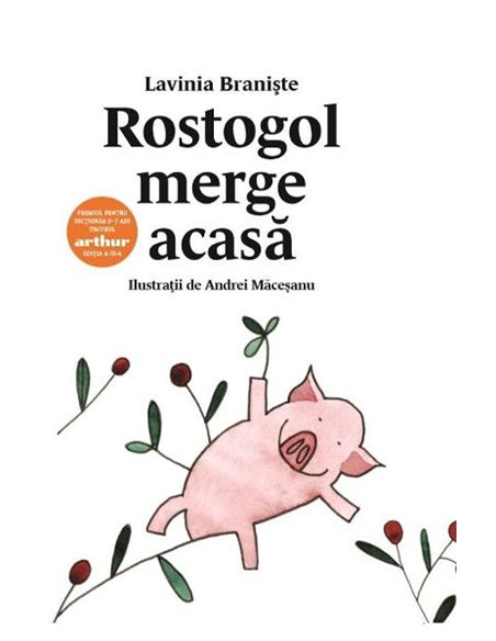 Rostogol 1. Rostogol merge acasa (lavinia braniste) [cartonat]  - Lavinia Branişte | Editura Arthur