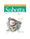 Sobotta Atlas de anatomie a omului. Capul, gatul si neuroanatomie - Friedrich Paulsen, Jens Waschke  Editura Callisto