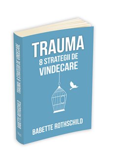 Trauma: 8 strategii de vindecare - Babette Rothschild | Editura Herald