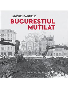 Bucureștiul mutilat - Andrei Pandele | Editura Humanitas