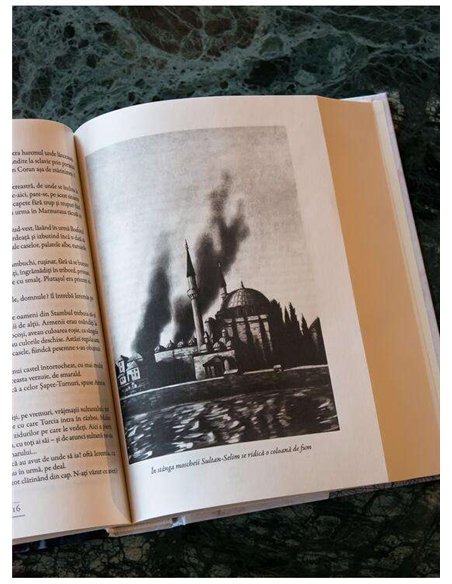 Toate panzele sus! [editie ilustrata] - Radu Tudoran | Editura Arthur