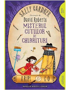 Aripi si co. 4: Misterul cutiilor de chibrituri - Sally Gardner | Editura Arthur