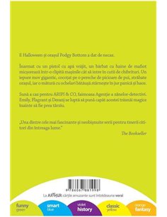 Aripi si co. 4: Misterul cutiilor de chibrituri - Sally Gardner | Editura Arthur 2