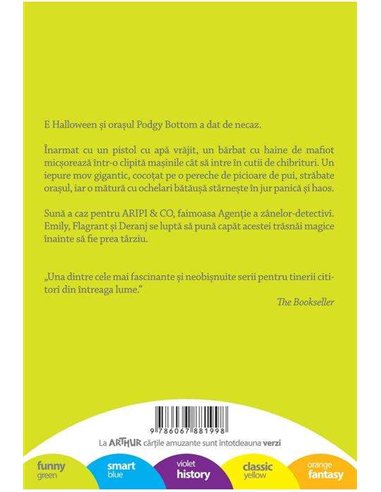 Aripi si co. 4: Misterul cutiilor de chibrituri - Sally Gardner | Editura Arthur