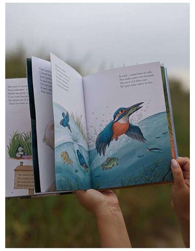 Apolodor explorator. Descoperim cu Apolodor, în Deltă, păsările-n zbor - Florin Bican | Editura Arthur