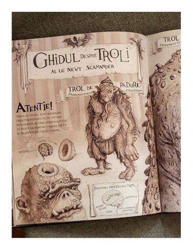 Harry Potter si piatra filozofala - editie ilustrata, text integral - J.K. Rowling | Editura Arthur