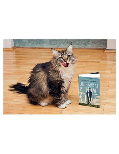 Un barbat pe nume Ove - Backman Fredrik | Art [necartonata]