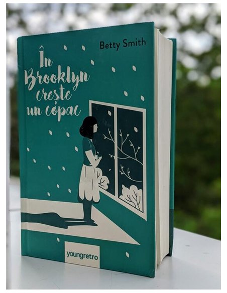 In Brooklyn creste un copac - Betty Smith | Young Art [cartonata]