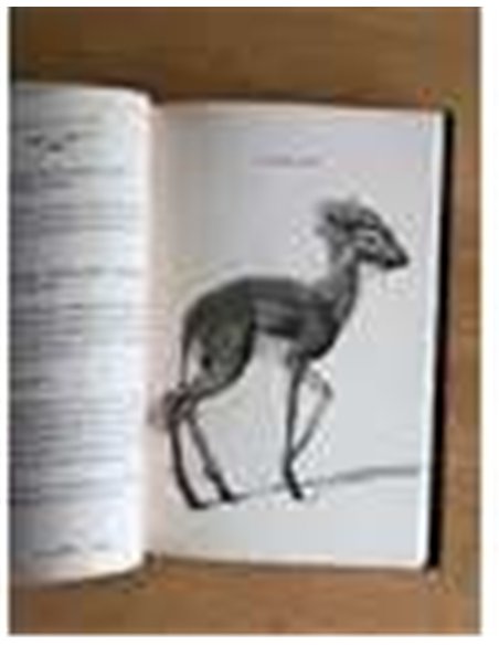 Animale fantastice 3: Secretele lui Dumbledore - J.K. Rowling | Editura Arthur