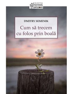 Cum sa trecem cu folos prin boala - Dmitry Semenik | Editura Sophia