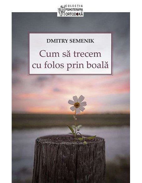 Cum sa trecem cu folos prin boala - Dmitry Semenik | Editura Sophia