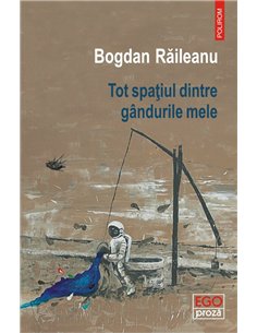 Tot spatiul dintre gindurile mele - Bogdan Raileanu | Editura Polirom