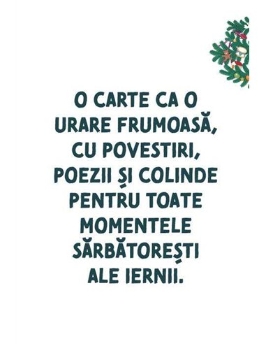 Cele mai frumoase povești de Crăciun ale lui Gianni Rodari - Gianni Rodari | Editura Arthur