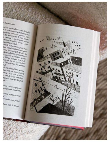 Pax - Sara Pennypacker | Editura Arthur (Red Adventure)