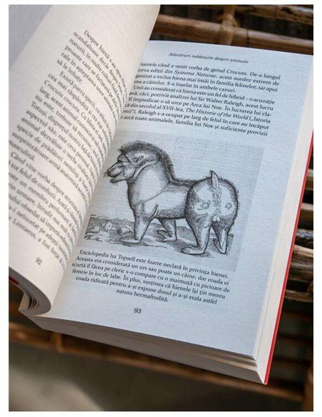 Adevăruri nebănuite despre animale: O menajerie a celor neînțeleși - Lucy Cooke | Editura Art [Cartile Sapiens]