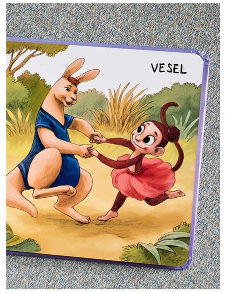 Apolodor educator: Contrarii | Editura Arthur [cartonat]