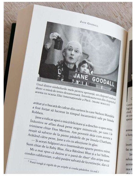 Cartea speranței - Jane Goodall, Douglas Abrams, Gail Hudson | Art (Sapiens)