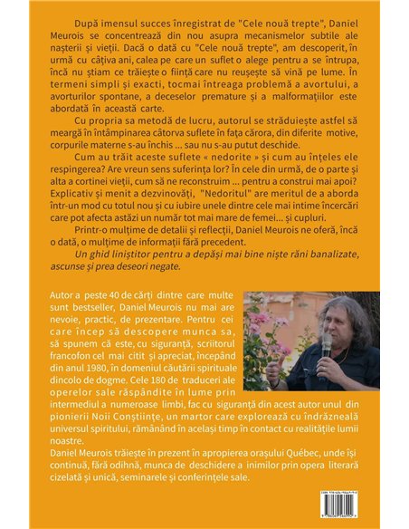 Nedoritul. Întâlnire cu copilul care nu a putut să vină - Daniel Meurois | Solisis