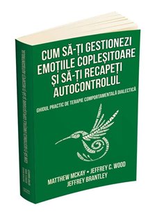 Cum sa-ti gestionezi emotiile coplesitoare si sa-ti recapeti autocontrolul -  Matthew Mckay Herald 2