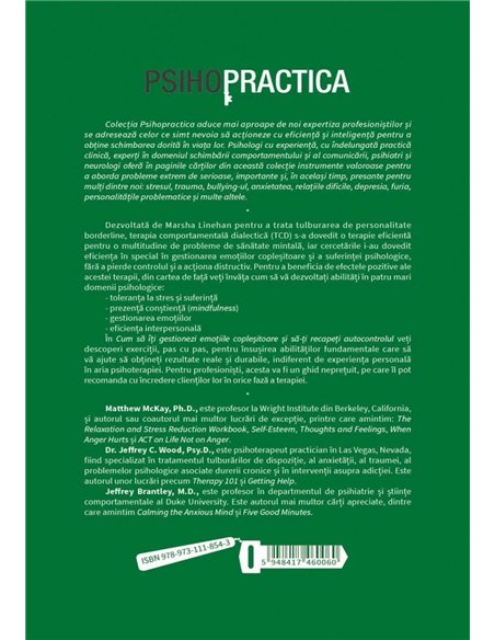 Cum sa-ti gestionezi emotiile coplesitoare si sa-ti recapeti autocontrolul -  Matthew Mckay | Herald