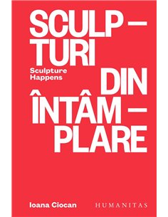 Sculpturi din intamplare - Ioana Ciocan | Humanitas
