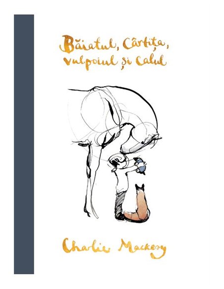 Baiatul, cartita, vulpoiul si calul - Charlie Mackesy  | Editura Grafic