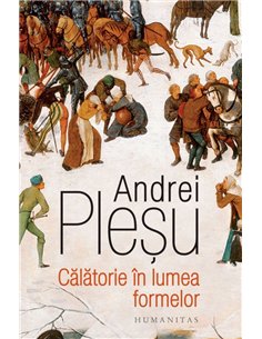 Calatorie in lumea formelor - Andrei Plesu | Editura Humanitas