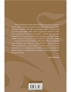 Cealalta cafea - Ioan Radu Vacarescu | Cartea Romaneasca [necartonata] 2