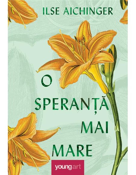 O speranta mai mare - Ilse Aichinger | Young Art [cartonata]