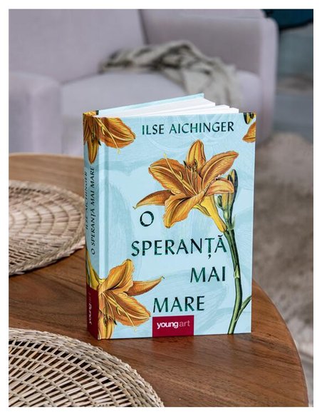 O speranta mai mare - Ilse Aichinger | Young Art [cartonata]