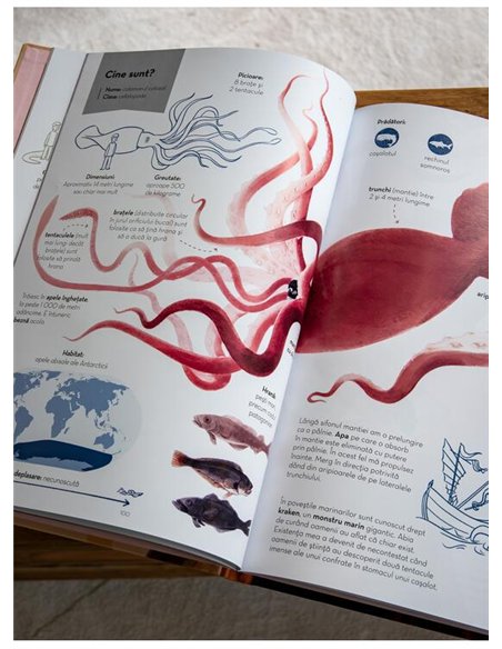 Superanimale 1. Cele mai mari - Reina Ollivier si Karel Claes | Vlad si Cartea cu Genius [cartonata]