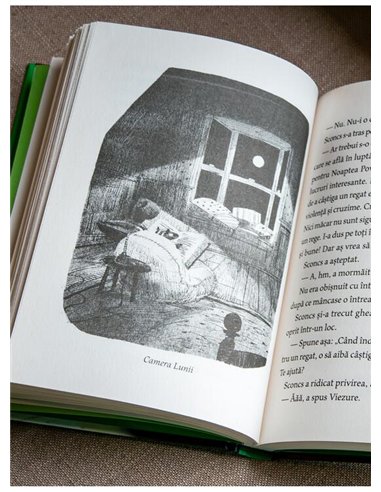 Sconcs si viezure - Amy Timberlake | Arthur [cartonata]