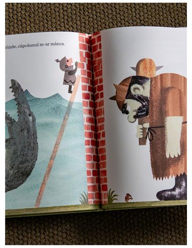 Zidul din mijlocul cartii - Jon Agee | Vlad si Cartea cu Genius [cartonata]