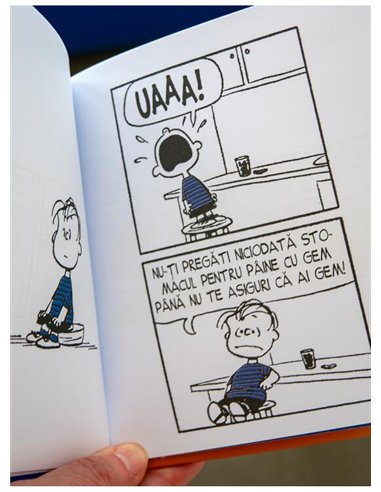 PEANUTS. Ghiduri pentru viata. Viata prin ochii lui Linus - Charles M. Schulz | Grafic [cartonata]