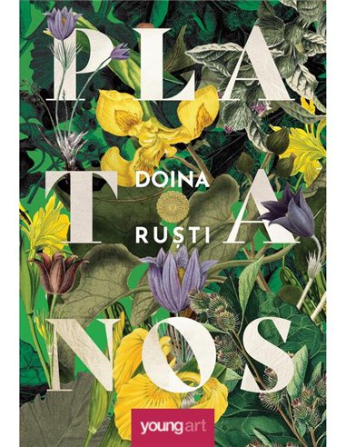 Platanos - Doina Rusti | Young Art [cartonata]