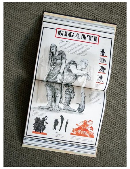 Harry Potter si Ordinul Phoenix (Vol 5) - J.K. Rowling | Arthur [cartonata]