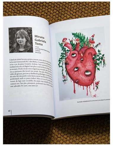 Cum sa inventezi o lume. Juniorii - Colectiv de autori | Arthur [necartonata]