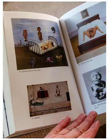 Frida - Hayden Herrera | Editura Art [necartonata]