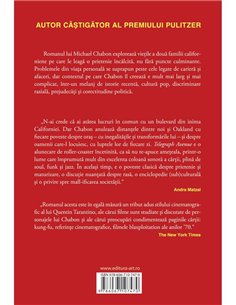 Telegraph Avenue - Michael Chabon | Editura Art [necartonata] 2