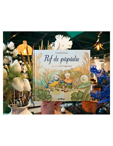 Puf de papadie - Corneliu Fotea | Arthur [cartonata]