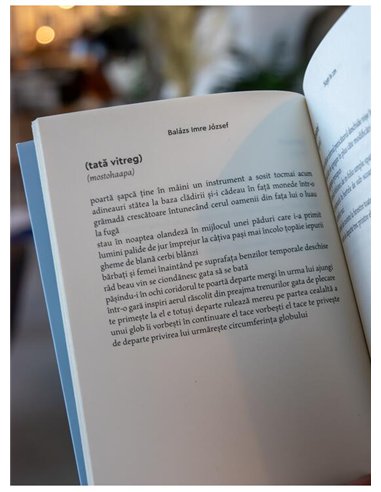 Nopti in zen - Balazs Imre Jozsef | Cartea Romaneasca [necartonata]