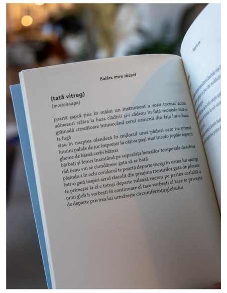 Nopti in zen - Balazs Imre Jozsef | Cartea Romaneasca [necartonata]