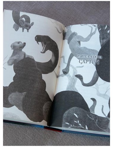 Endling Vol 1. Cea de pe urma - Katherine Applegate | Arthur [cartonata]