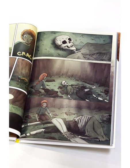 Ruine - Miruna Smit | Grafic [cartonata]