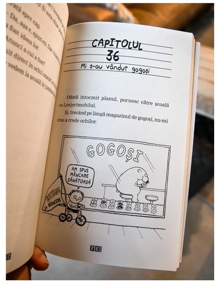 Timmy Fiasco 5. Jurnalul secret - Stephan Pastis | Arthur [necartonata]