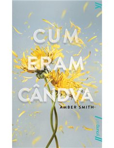 Cum eram candva - Amber Smith | Young Art [necartonata]