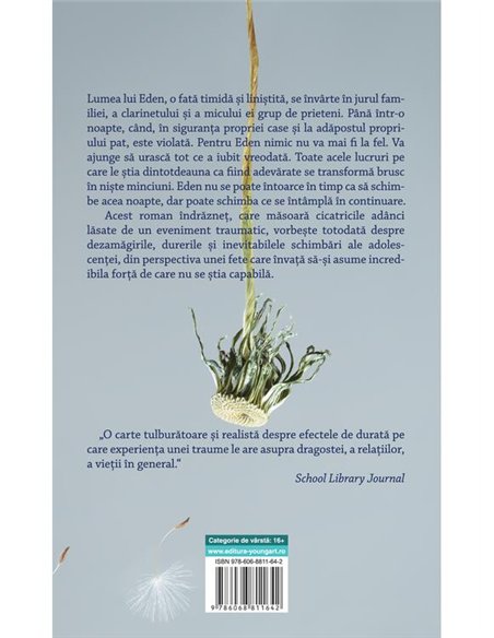 Cum eram candva - Amber Smith | Young Art [necartonata]