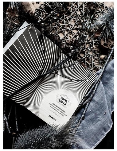 Circul noptii - Erin Morgenstern | Young Art [necartonata]